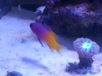 20160109_085149[1].jpg