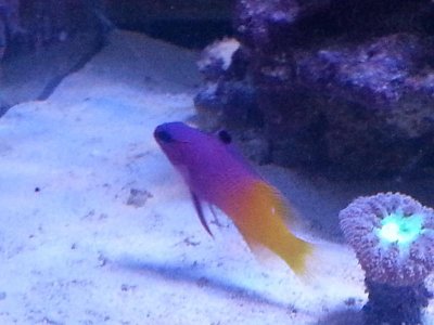 20160109_085047[1].jpg