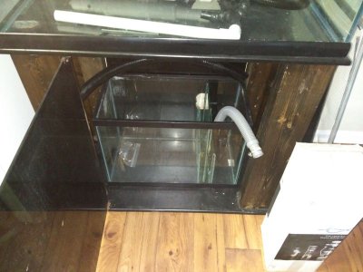 2015-12-28 16.51.08.jpg