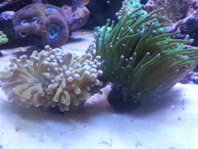20160110_121515[1].jpg