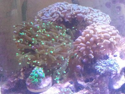 20160110_121510[1].jpg
