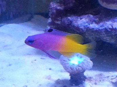 20160110_120856[1].jpg