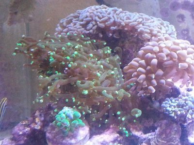 20160110_120743[1].jpg