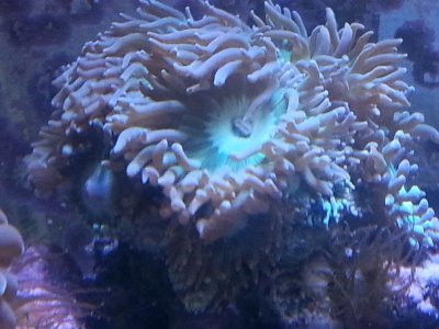 20160110_120733[1].jpg