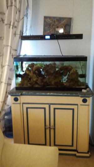 40setupTop.jpg