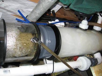 aquariums12-03-08 038.jpg