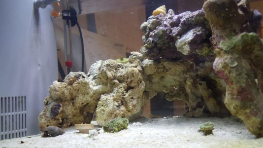 20160111_193304.jpg