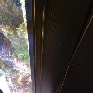 IMG_7273.jpg