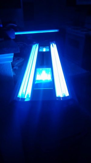 IMG_20160113_195727324.jpg