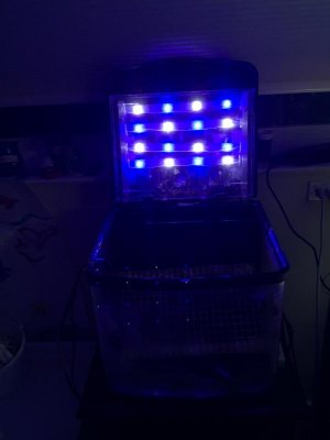 ImageUploadedByTapatalk1455433114.071303.jpg ImageUploadedByTapatalk1455433114.071303.jpg