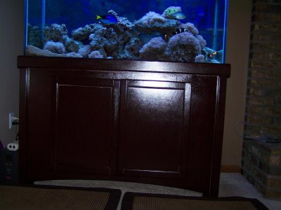 100_4117.jpg
