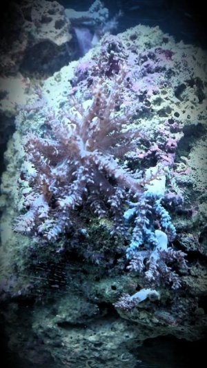 2016-02-14 09.18.12-1.jpg