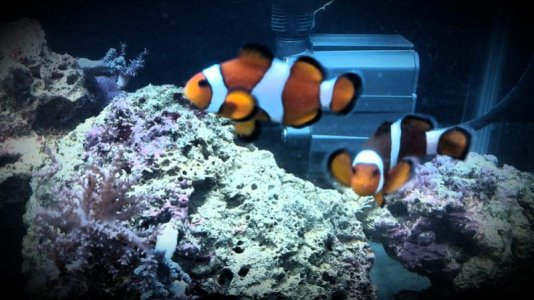 2016-02-14 09.19.17-1.jpg