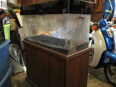 2015-04-27 07.37.55.jpg