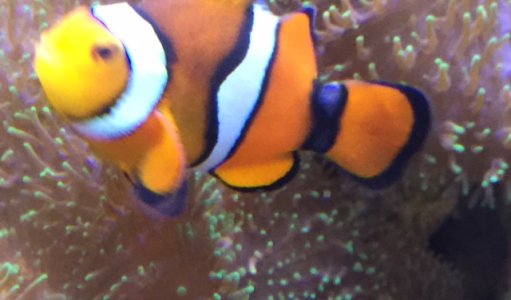 FullSizeRender (10).jpg