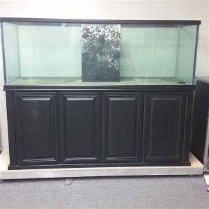 20160215_165835 (Medium).jpg