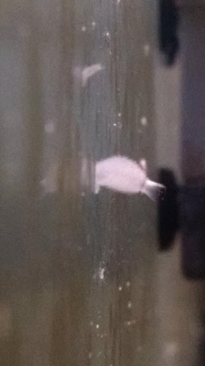 IMG_20160123_144127896.jpg