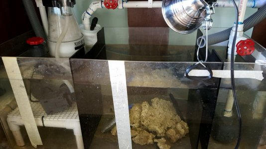 20160123_150406.jpg 20160123_150406.jpg