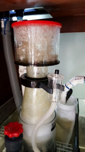 20160124_112501.jpg 20160124_112501.jpg