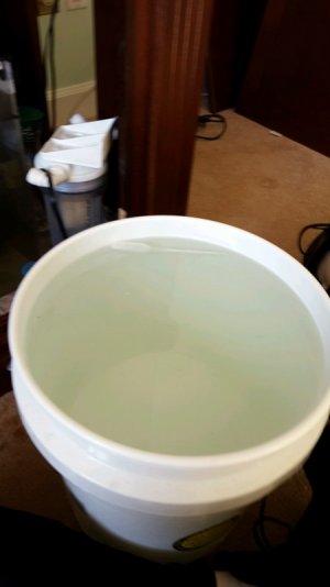 20160124_144126.jpg 20160124_144126.jpg