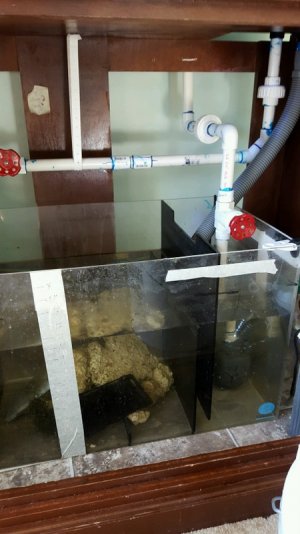 20160124_144520.jpg 20160124_144520.jpg