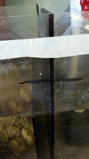 20160124_144547.jpg 20160124_144547.jpg