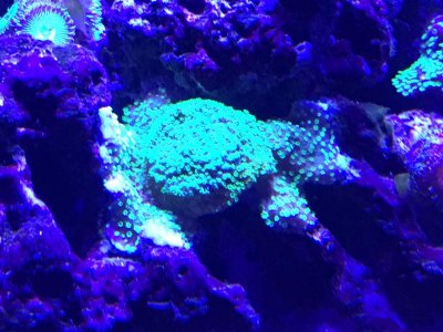 IMG_0052.jpg