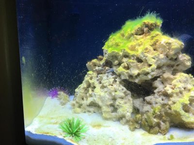 ImageUploadedByTapatalk1453708796.368670.jpg ImageUploadedByTapatalk1453708796.368670.jpg