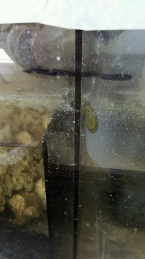 20160125_143101.jpg 20160125_143101.jpg