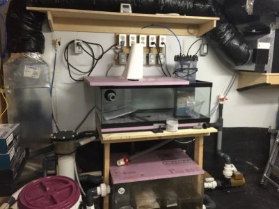 Sump and iso tank.jpg