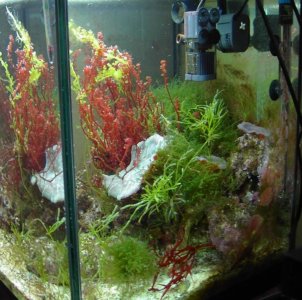 PCT30gal 022.5.jpg