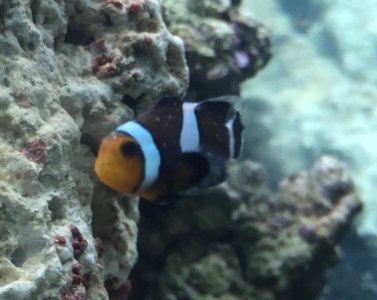 IMG_5475.jpg IMG_5475.jpg