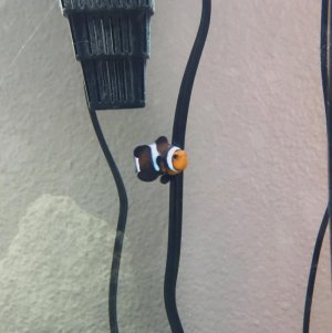 FullSizeRender (5).jpg FullSizeRender (5).jpg