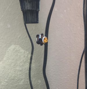 FullSizeRender (6).jpg FullSizeRender (6).jpg