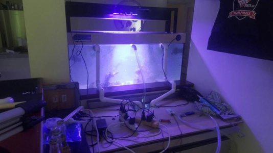 uploadfromtaptalk1453901535474.jpg uploadfromtaptalk1453901535474.jpg