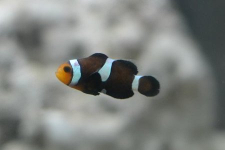 ccccccc.jpg ccccccc.jpg