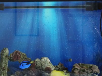 DSC04897small.jpg DSC04897small.jpg