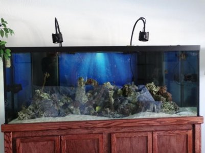 DSC04900small.jpg DSC04900small.jpg