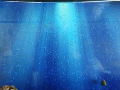 DSC04899small.jpg DSC04899small.jpg