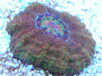 20160221_092611.jpg