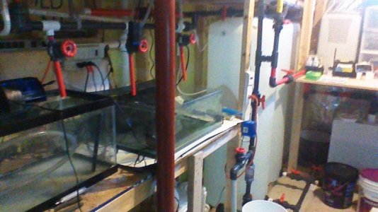 WIN_20160221_125753.jpg