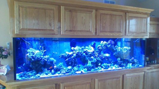 WIN_20160221_125519.jpg