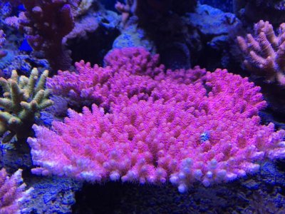IMG_0102.jpg