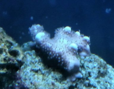 IMG_20160129_212601.jpg