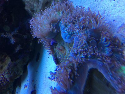 IMG_0793.jpg