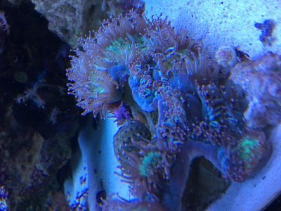 IMG_0792.jpg