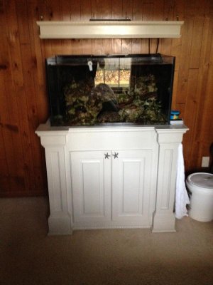2-22-16 008.jpg