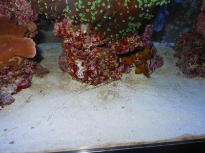 DSCN3800.jpg