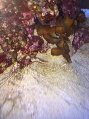 IMG_3176.jpg