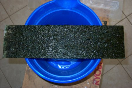 AlgaeScrubberFirstHarvest.jpg